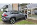 Toyota RAV 4 Plug In Premium Plus+ open dak Grijs - thumbnail 2