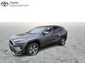 Toyota RAV 4 Plug In Premium Plus+ open dak Grijs - thumbnail 1