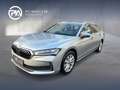 Skoda Superb Selection TDI DSG Silber - thumbnail 21