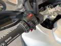 BMW F 900 GS Adventure Ride Pro Argento - thumbnail 6