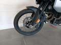BMW F 900 GS Adventure Ride Pro Argento - thumbnail 11