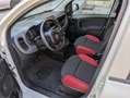 Fiat Panda 1.2 Pop Van 2 posti  km  7146 !! Blanc - thumbnail 6