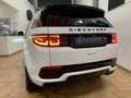 Land Rover Discovery Sport Discovery Sport 2.0d i4mhev R-Dynamic S awd 150cv Blanc - thumbnail 23