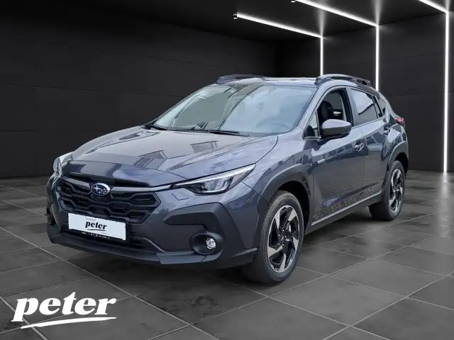 Subaru Sonstige