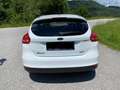 Ford Focus Focus 1,0 EcoBoost Titanium Titanium Weiß - thumbnail 2