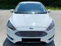 Ford Focus Focus 1,0 EcoBoost Titanium Titanium Weiß - thumbnail 6