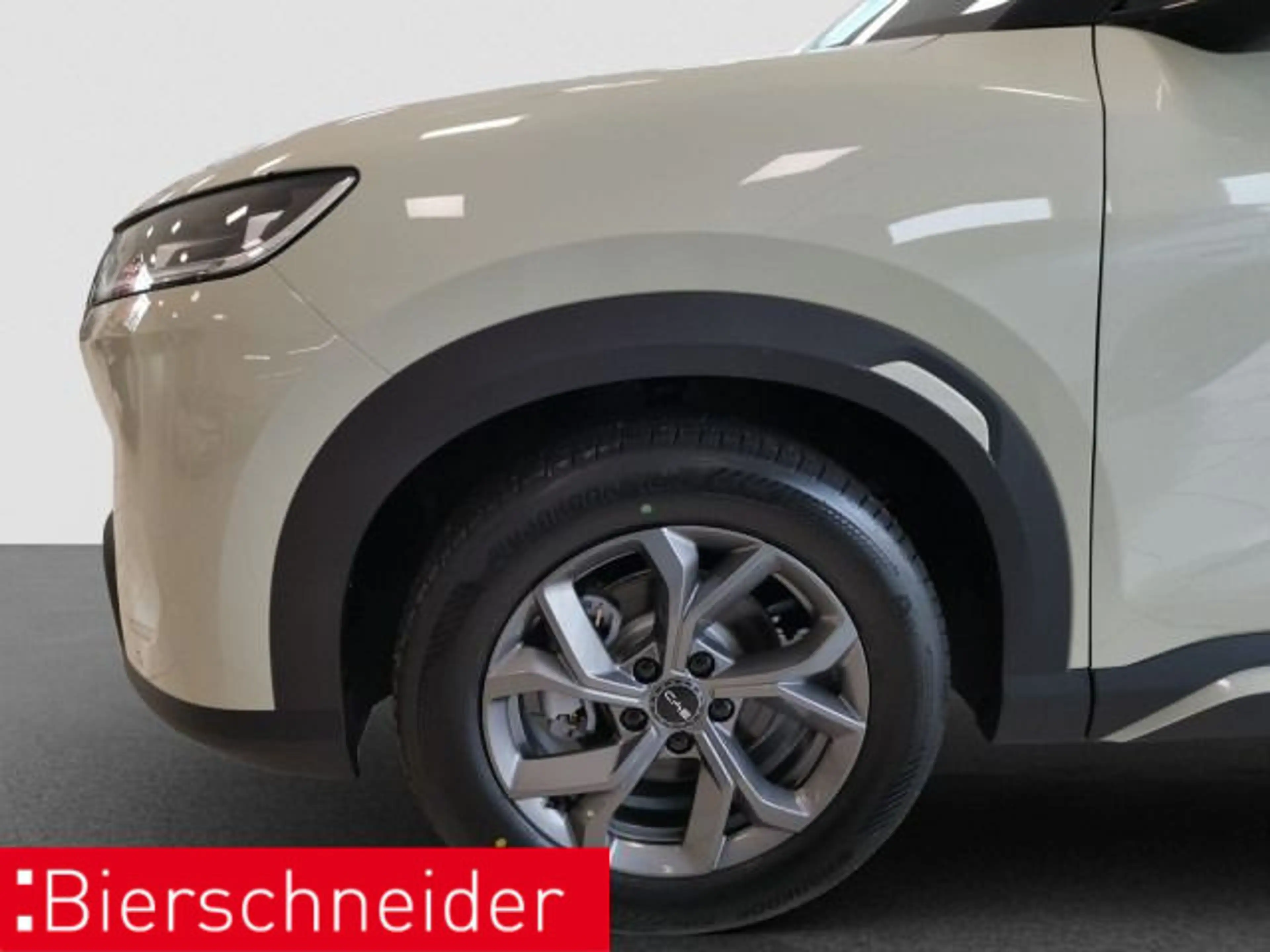 BYD Atto 2 Atto 2 Comfort NAVI LEDER ACC — photo 8