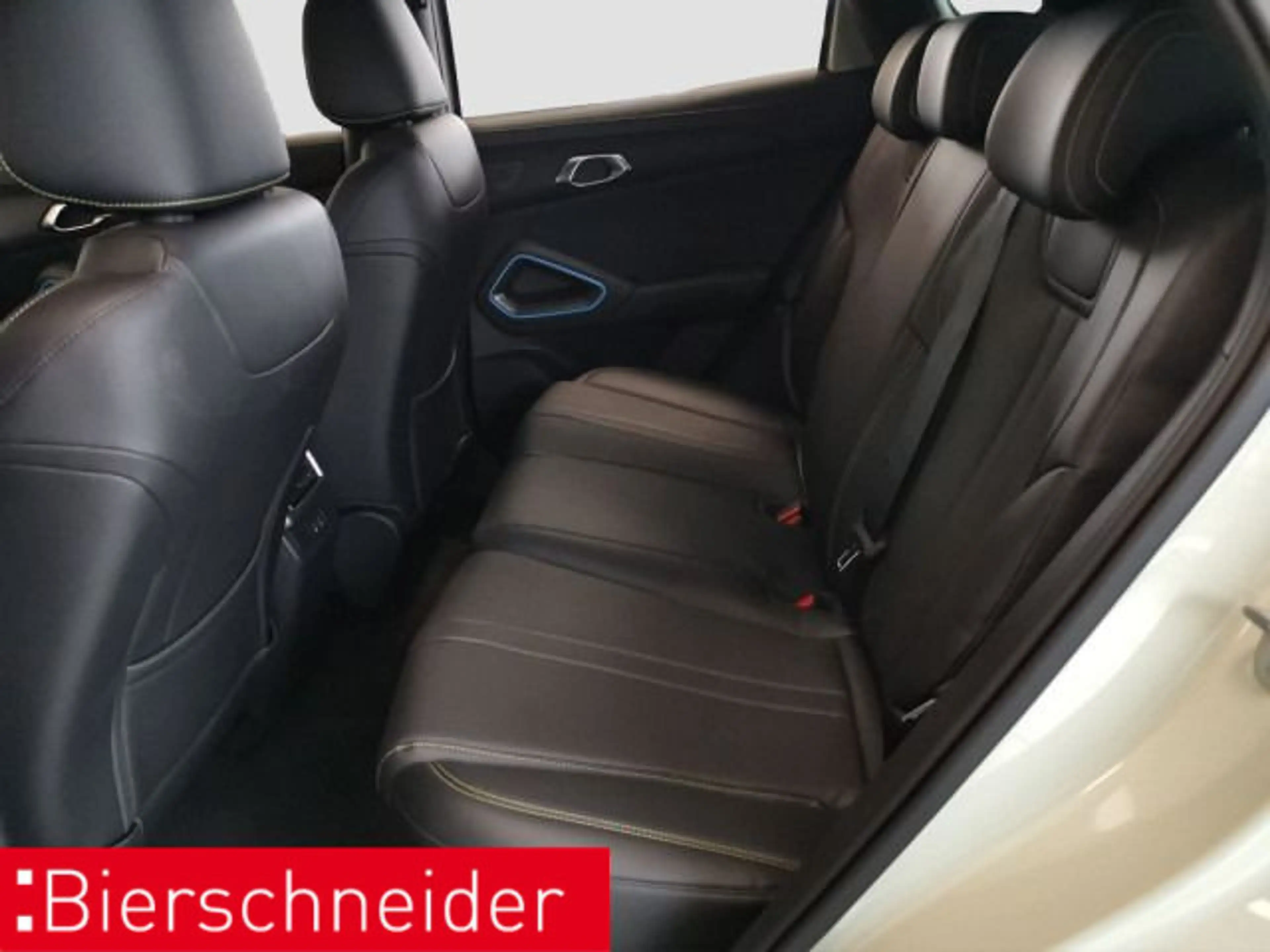 BYD Atto 2 Atto 2 Comfort NAVI LEDER ACC — photo 13