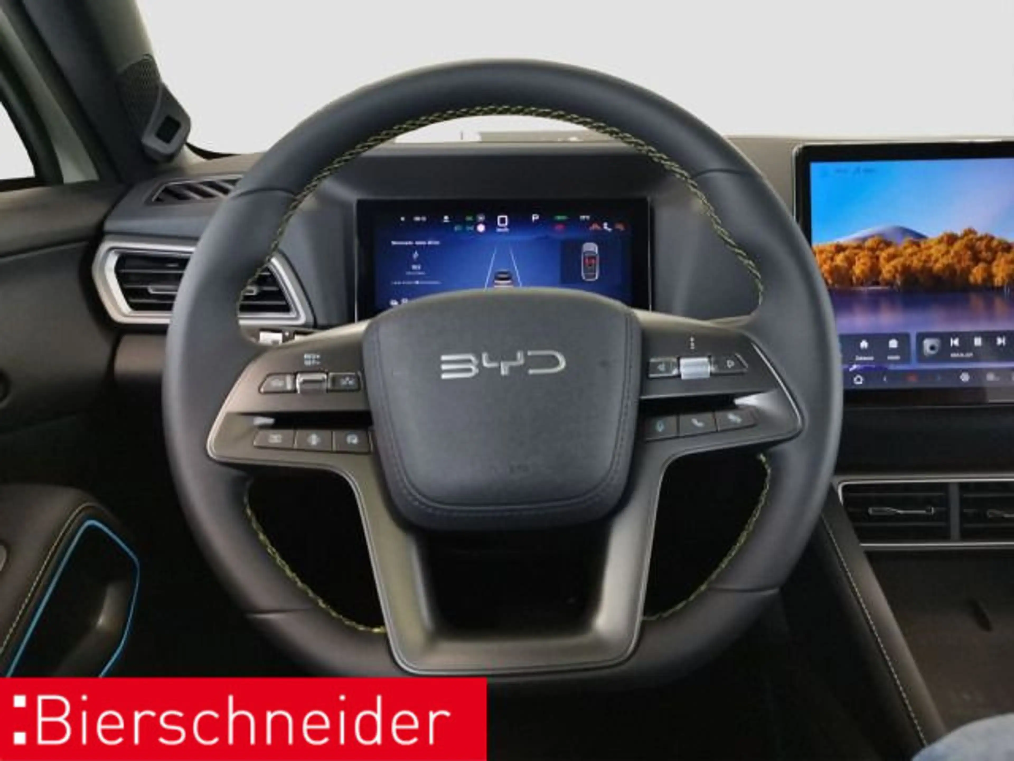 BYD Atto 2 Atto 2 Comfort NAVI LEDER ACC — photo 11