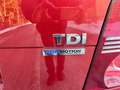 Volkswagen Touran 1.9TDI BlueMotion  neues Pickerl Erstbesitzer Rot - thumbnail 24