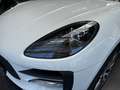 Porsche Macan S Aut. Blanc - thumbnail 16