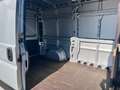 Fiat Ducato 2.3 mjet 130 cv PM-TA MH2 Argento - thumbnail 12