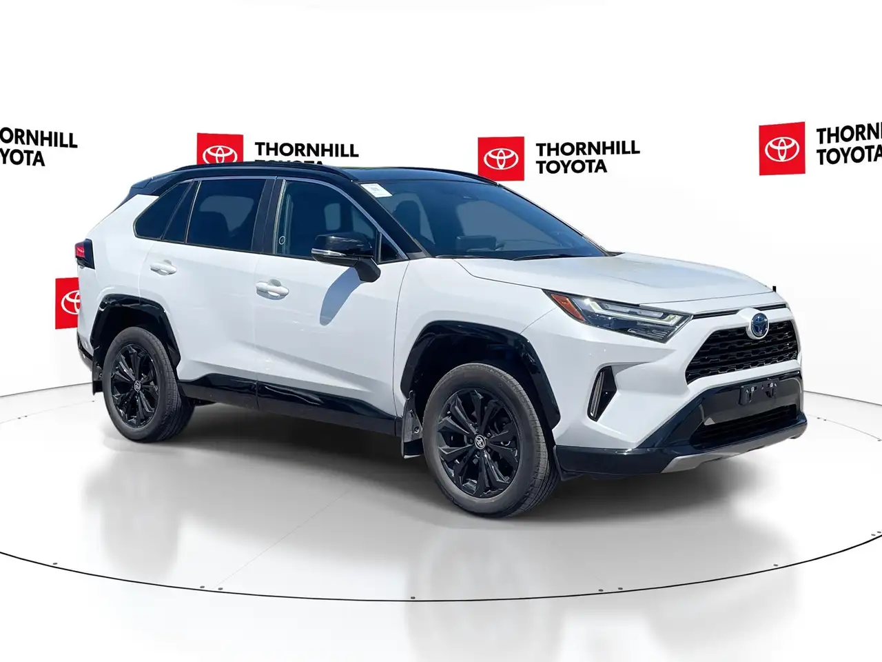 2024 Toyota RAV 4