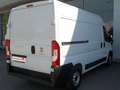 Fiat DUCATO 2.3 MJT 120CV. PM-TM + IVA Bianco - thumbnail 9