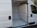 Fiat DUCATO 2.3 MJT 120CV. PM-TM + IVA Bianco - thumbnail 11