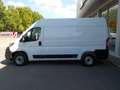 Fiat DUCATO 2.3 MJT 120CV. PM-TM + IVA Bianco - thumbnail 6