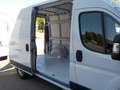 Fiat DUCATO 2.3 MJT 120CV. PM-TM + IVA Bianco - thumbnail 12