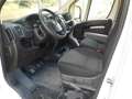Fiat DUCATO 2.3 MJT 120CV. PM-TM + IVA Bianco - thumbnail 13