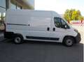 Fiat DUCATO 2.3 MJT 120CV. PM-TM + IVA Bianco - thumbnail 5