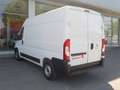 Fiat DUCATO 2.3 MJT 120CV. PM-TM + IVA Bianco - thumbnail 7