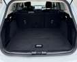 Ford Focus Focus Turnier 1,5 EcoBlue Titanium*RFK*SHZ*LHZ*uvm Weiß - thumbnail 11
