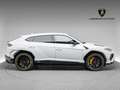 Lamborghini Urus S Wit - thumbnail 21