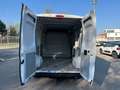 Fiat Ducato 33 MH2 2.2 Mjt3 140CV E6D-fin Bianco - thumbnail 11