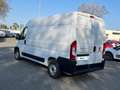 Fiat Ducato 33 MH2 2.2 Mjt3 140CV E6D-fin Bianco - thumbnail 3