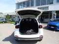 DR Automobiles DR5.0 1.5 Turbo CVT Bi-Fuel GPL Vari colori Blanc - thumbnail 36