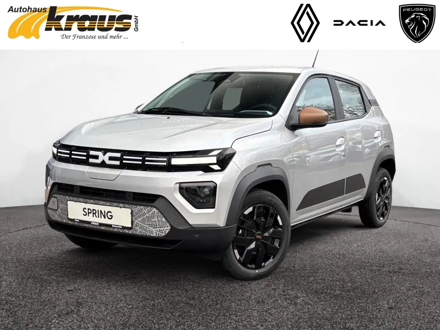 Dacia Spring Electric Extreme 65 AKTIONSPREIS Grau - 1
