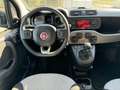 Fiat Panda Panda 1.2 Lounge s - thumbnail 11