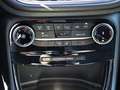Ford Puma ST-Line X 1.0 MHEV *PARK-ASSISTENT*SITZ-/LENKRADHE Gris - thumbnail 14
