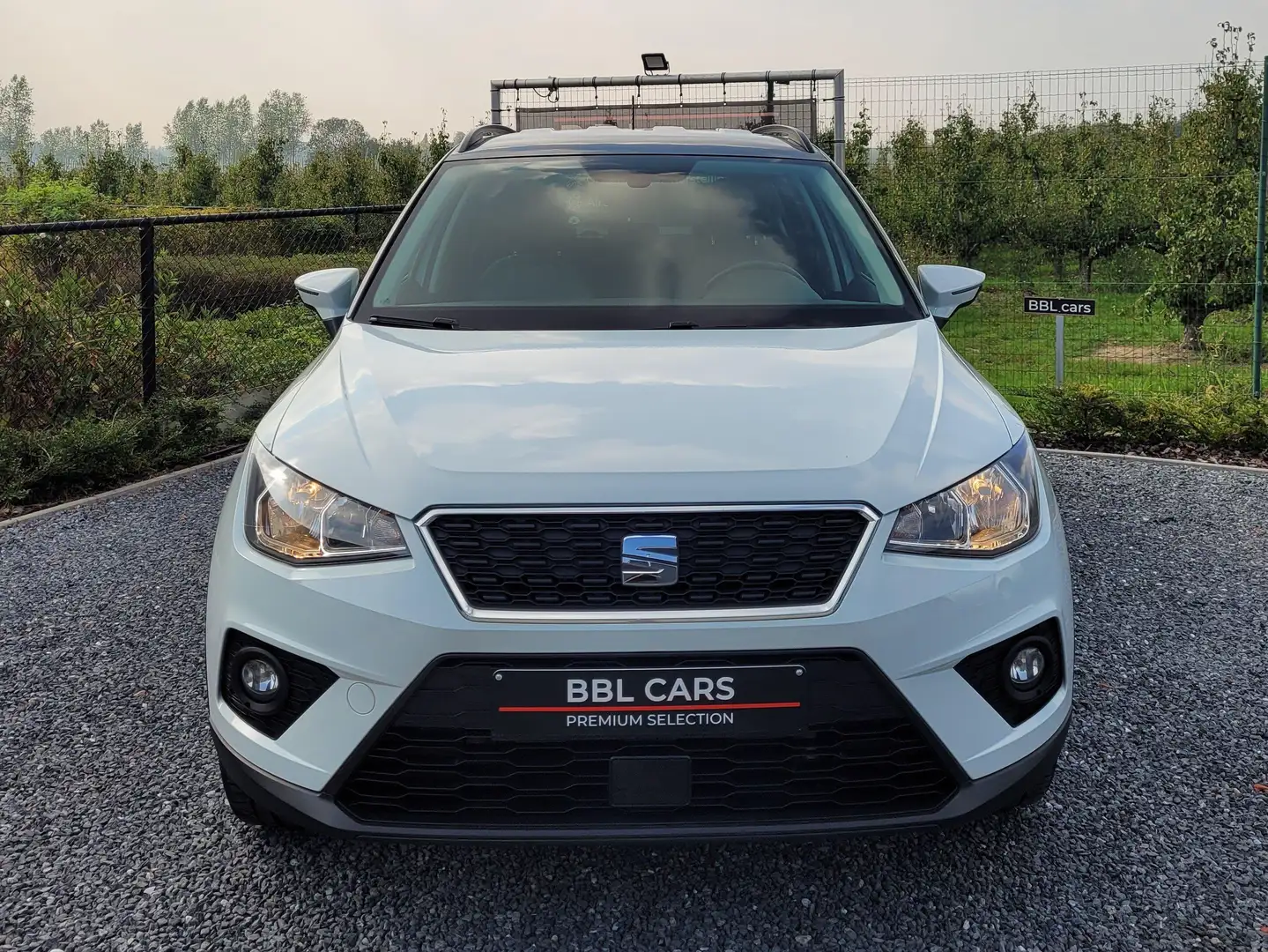 SEAT Arona Arona 1.0 TSI OPF Reference Blanc - 2