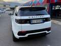 Land Rover Discovery Sport 5 anni di garanzia 2.0d mhev R-Dynamic awd 163cv Bianco - thumbnail 4