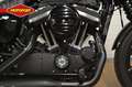 Harley-Davidson XL 883 IRON Bruin - thumbnail 8