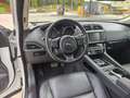 Jaguar F-Pace 2.0i4D R-Sport Aut. AWD 180 Blanco - thumbnail 11