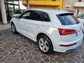 Audi Q5 Q5 50 2.0 tfsi S-Line quattro 299cv s-tronic my20 Blanc - thumbnail 6