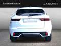 Jaguar E-Pace D200 R-Dynamic SE AHK Pano 20 Zoll Fehér - thumbnail 7