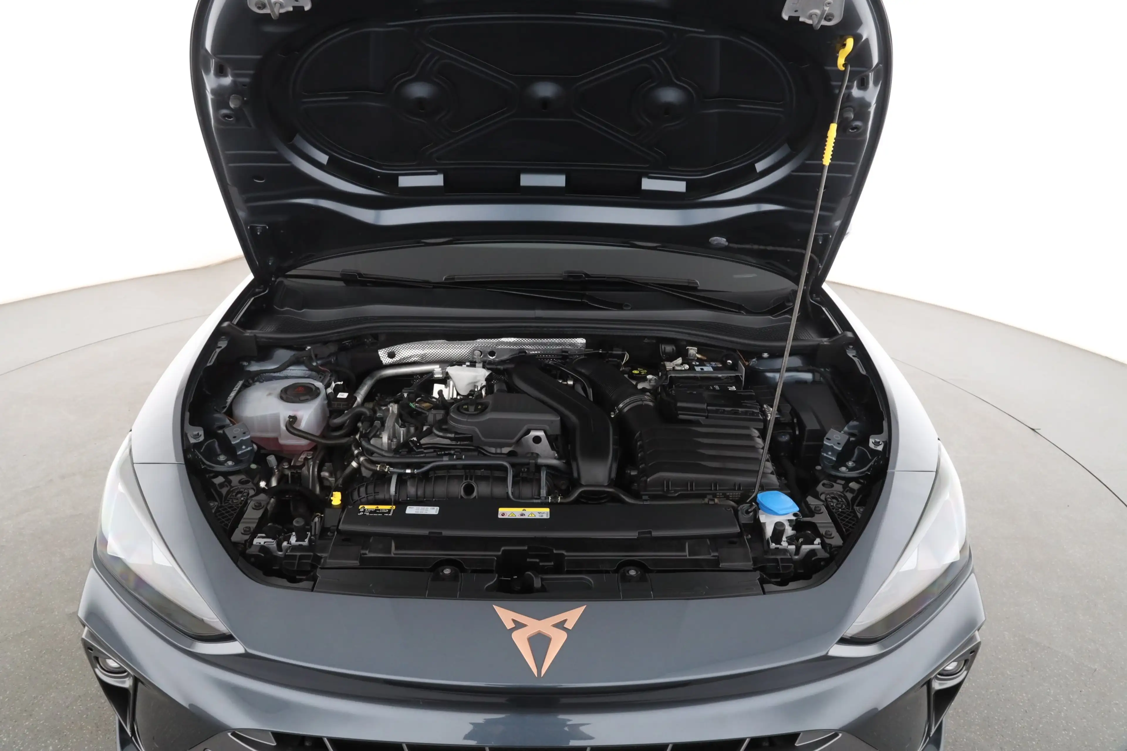 CUPRA Leon 1.5 eTSI DSG | NAVI | LED | ACC | SITZH. | — photo 9