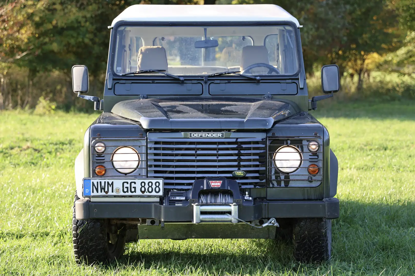 Land Rover Defender 110 TD5 Crewcab - 2