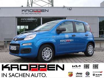 Pandina Icon Hybrid 1.0 GSE Allwetter