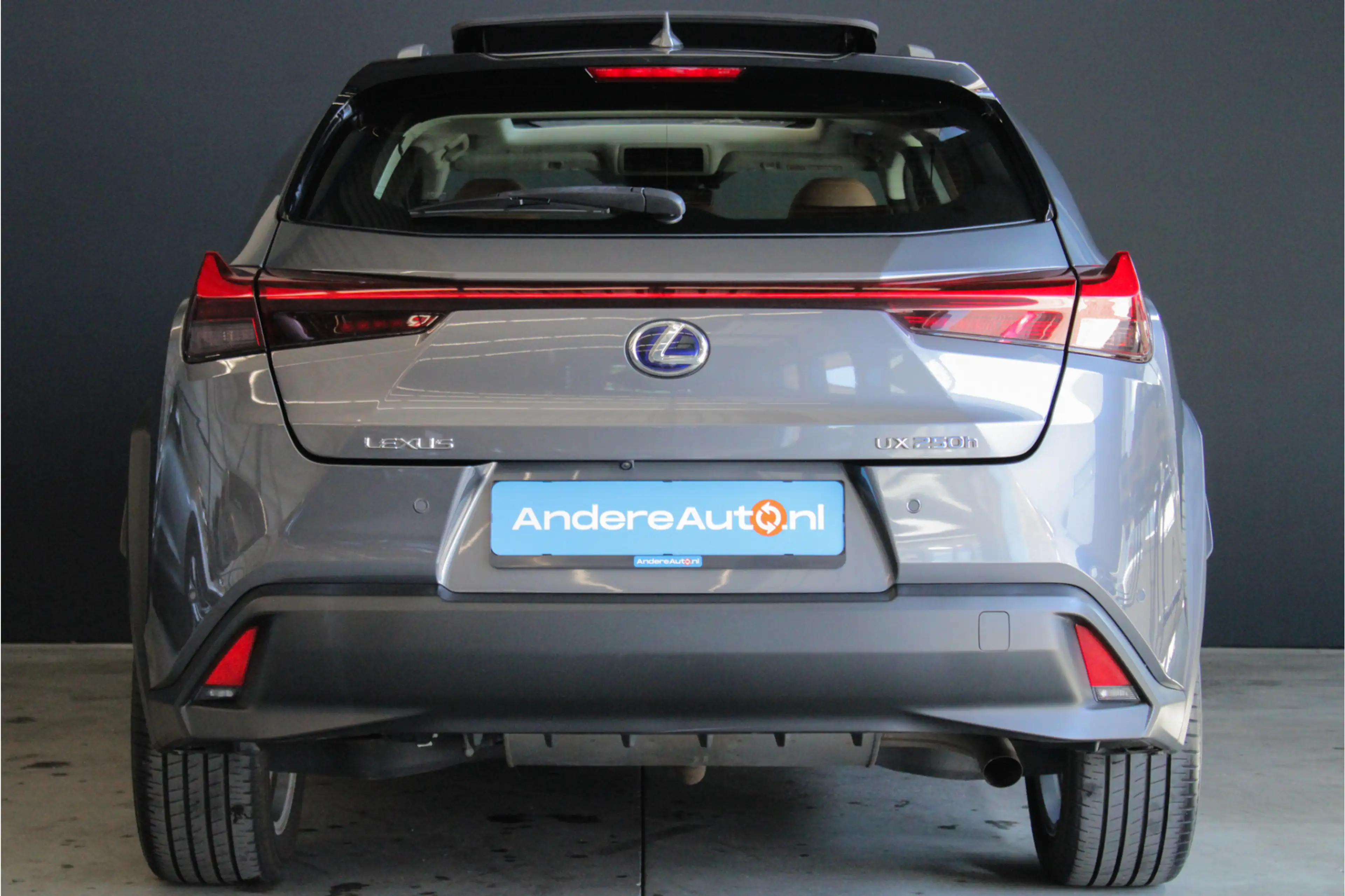 Lexus UX 250h Executive Line |President Pack|360 camera|elek sto — photo 11