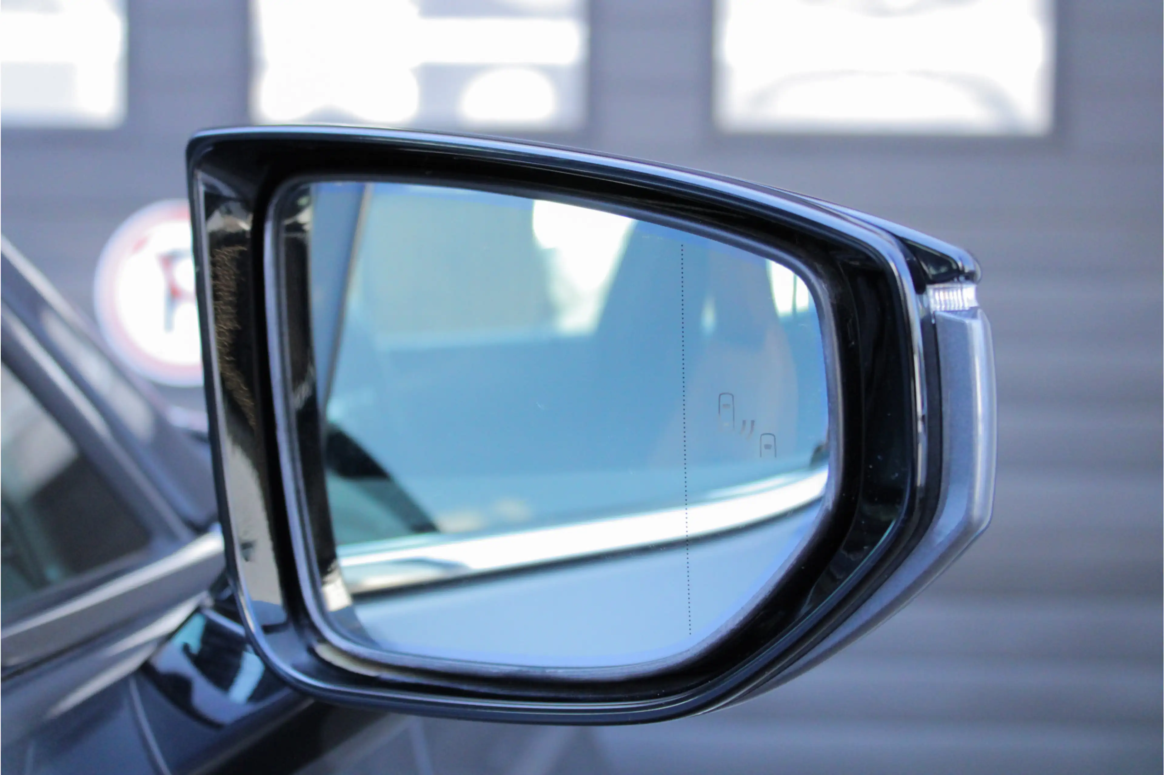 Lexus UX 250h Executive Line |President Pack|360 camera|elek sto — photo 22