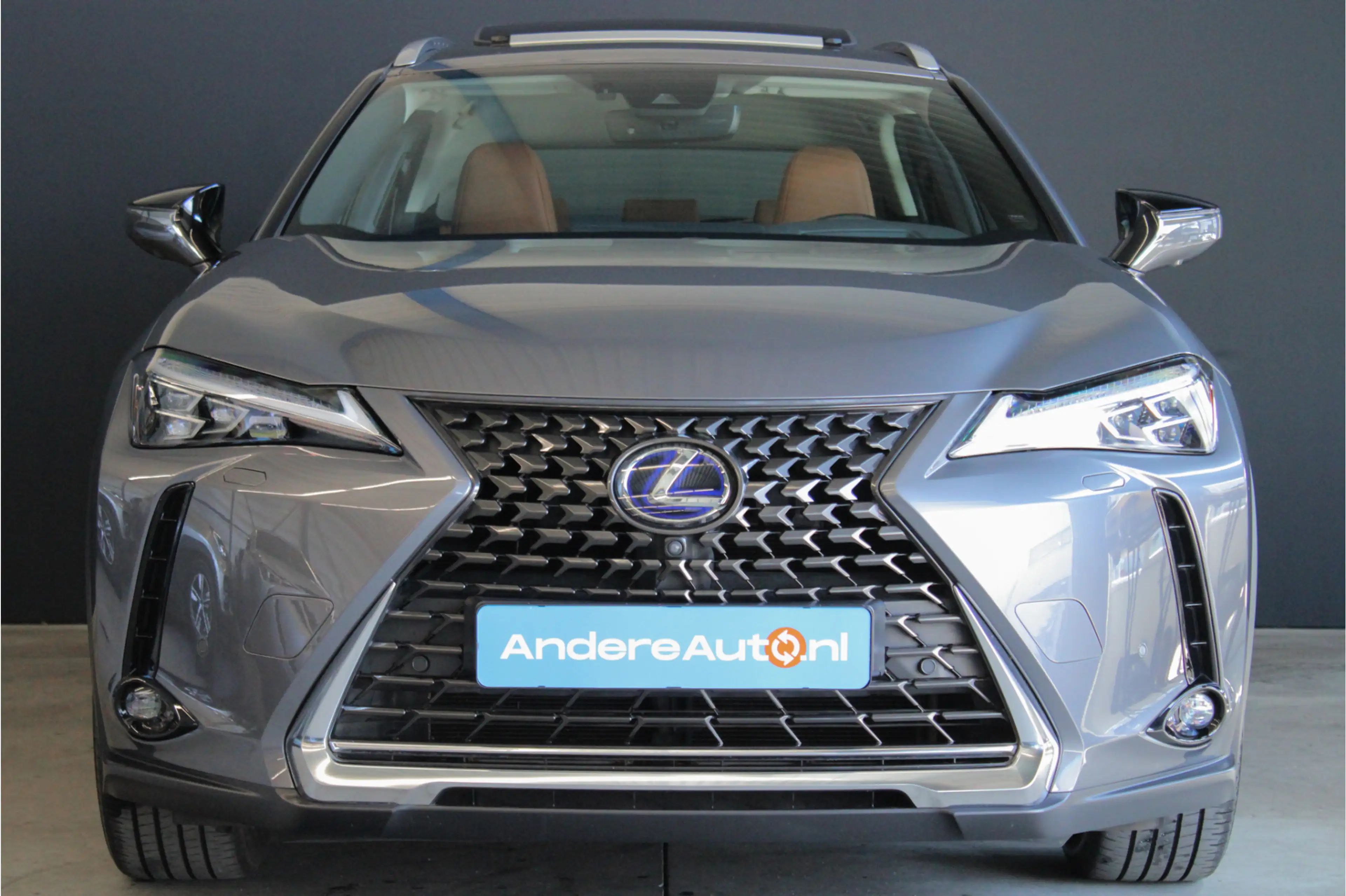 Lexus UX 250h Executive Line |President Pack|360 camera|elek sto — photo 7