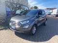 Ford EcoSport Titanium Grigio - thumbnail 1