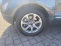 Ford EcoSport Titanium Grigio - thumbnail 4