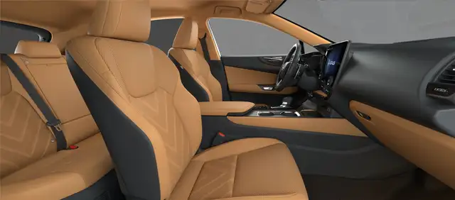 Lexus NX view 11