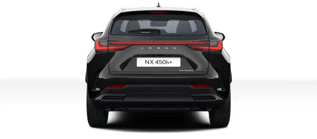 Lexus NX view 7