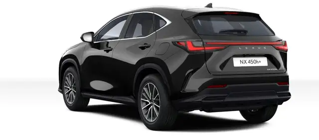 Lexus NX view 8