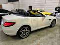 Mercedes-Benz SLC 200 AMG “12MILA KM” Weiß - thumbnail 2